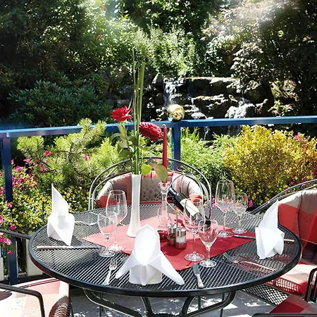 Hotel Vis A Vis Parkhotel 4*